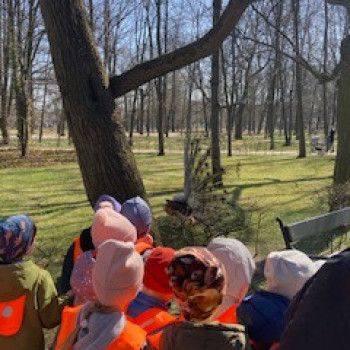 Dzieci patrzą na pawia